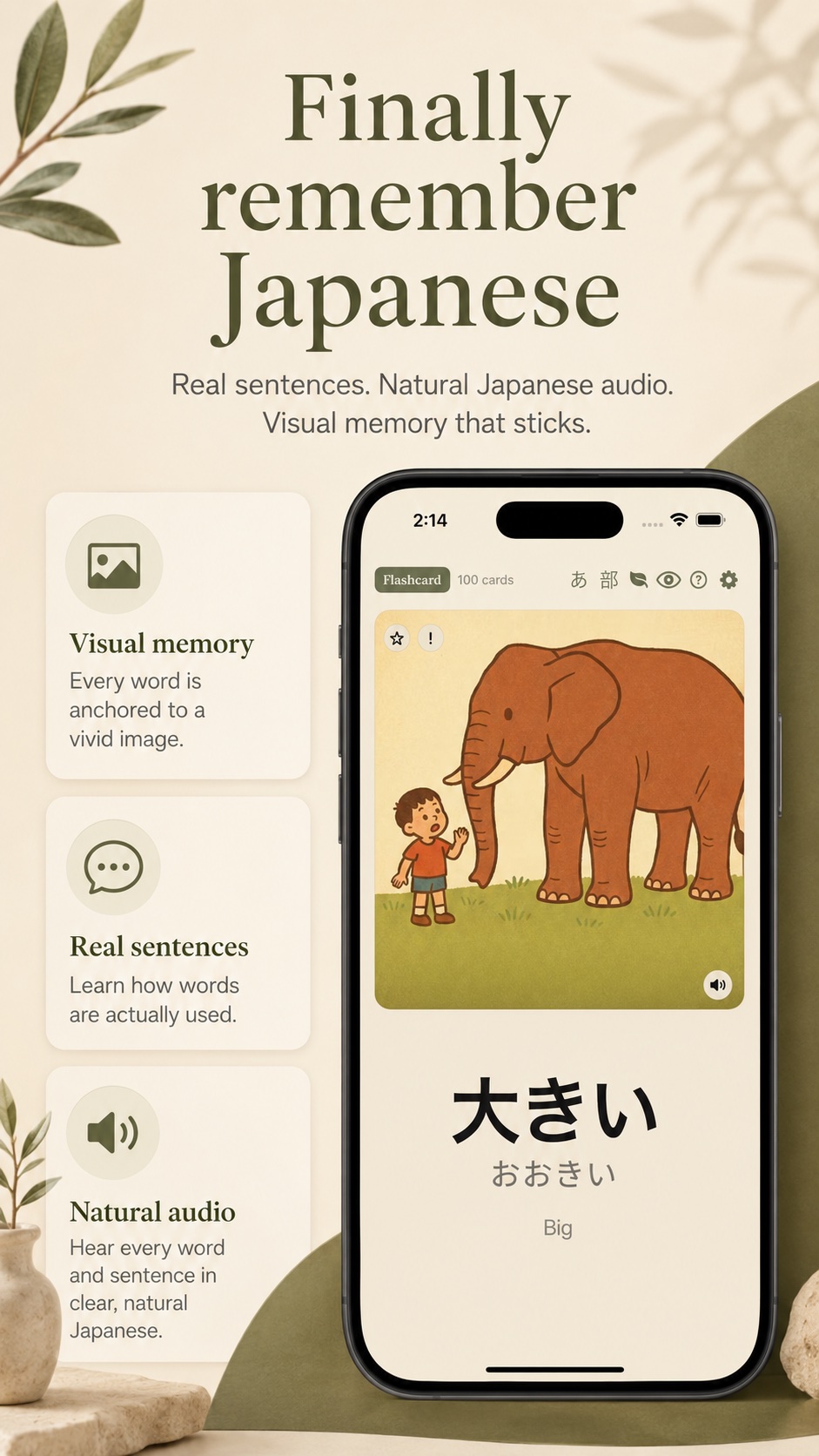 Visual flashcards with custom illustrations for every word